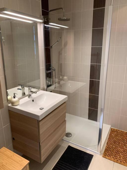 Appartement Apppartement Des Sacres De Reims Extérieur photo